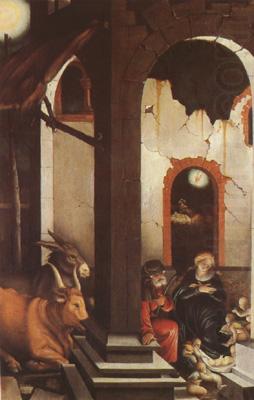 The Nativity (mk08), Hans Baldung Grien